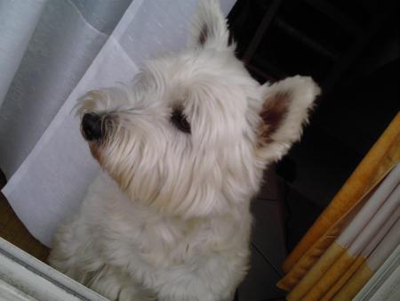 mOn ChieN